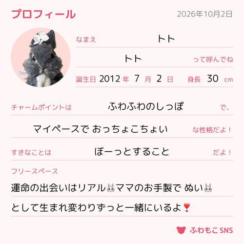 🐰僕もつくってみたよ~🎶
プロフィールでみんなのコト知れるのうれしいなぁ☺️🎶
これからもよろしくね💓