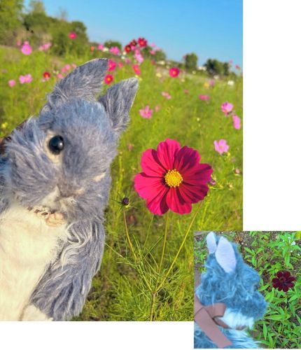 🌸コスモス畑


コスモス畑に行ってきたよ🎶
蕾がたくさんあって
満開までは まだあと少しみたい~

チョコレートコスモスっていう
おいしそうなお名前の
茶色のコスモスも咲いていたよ🤎

満開の頃また見に行けたらいいなぁ〜🌸