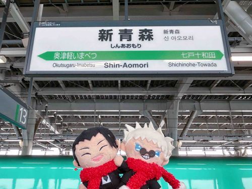 🏖️「新青森駅だよ〜❄️」
初めて来た駅だよ！🍎✨