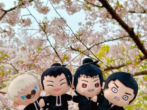 🏖️「春だー！さくらだ！🌸✨」
今年もお花見にきたよ〜！🍱✨