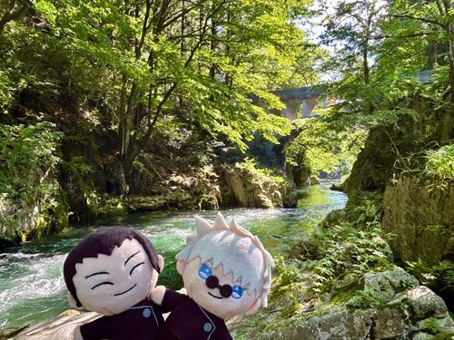🏖️「キレイな川だね〜🏞️✨」
葉山めがね橋だよ🌳川底まで透けて見えるよ！