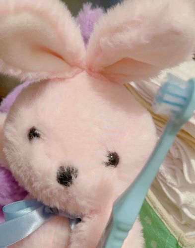 Pinky's
新人ちゃん大紹介③💕

はたまたお名前がきまってませんがピンクのうさぎさん🎀この子、くま子ちゃんに少しにてるの🧸しかもしろくまさんよりもっとくま子ちゃんを知ってる😭

性格も顔つきもそっくり､､､実はむらさきうさぎさんと姉妹なんですよ🐰🩷🐰

さっき🍮の歯磨きをお手伝いしてくれました🦷

構え方かっこよ笑笑
