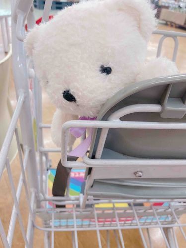 🍮とのお買い物におともしてくれた〜︎︎🧸🤍さいきん毛並みがくまこちゃんそっくりになってきてママは懐かしさで涙出そうです(´；ω；｀)
