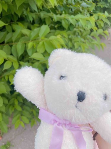 低気圧で壊滅的なブルー☔️
仕事おわって帰宅して、はぁ〜あってため息ついてたら「ため息は幸せにげちゃうよぉ」といわんばかりに口にすりすりしてきた😭🩷

今日は雨降りだったからかばんからでてこれなかったしろくまさん🐻‍❄️またいっしょに🍮むかえにいこうね(*ˊ꒳ˋ*)