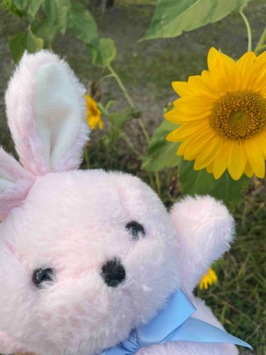 一昨日は🐰さんと👣
今日はしろくまさんかな〜
