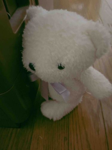 きのうおなかすいて米棚あけようとしてたんだけど生米だよ？笑笑笑