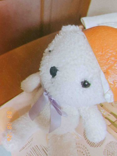 ▼お久しぶりの

いよかんかぶってみた🍊
ちゃんとままが汁つくのティッシュでガードしてくれたよ🤍