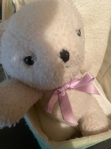 おひさし投稿🌙
‎🤍🧸さんのおしごと紹介▽

🍮のうがい手拭きチェック番
🍮のトイレ見守り番
🍮のお風呂ドア越し監視員

まいにちがんばってます💕
(※隠れ食い常習犯だけど🍭)