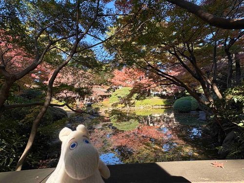 秋の庭園だねえ
