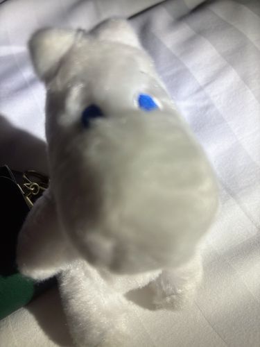 最近つきまといが多くて嫌だね