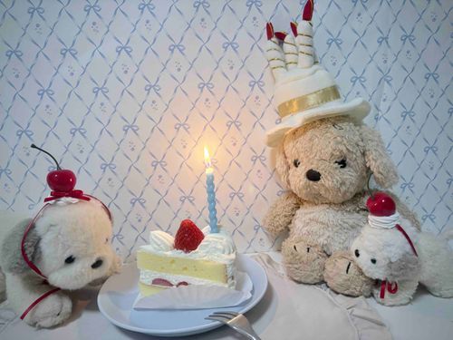 おたんじょうびだったよ🎈
べびちゃんはケーキたべたいだけだね