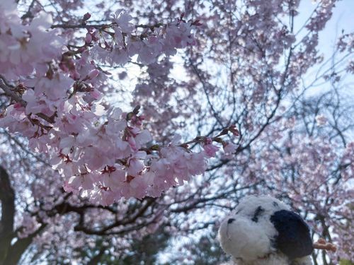 はな❗️🌸