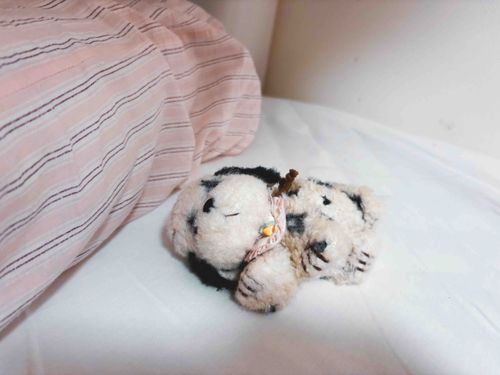 ｽｰ…💤