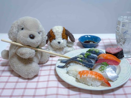 おすしさきたべてるねー🍣