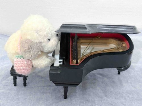 ぷ🎵