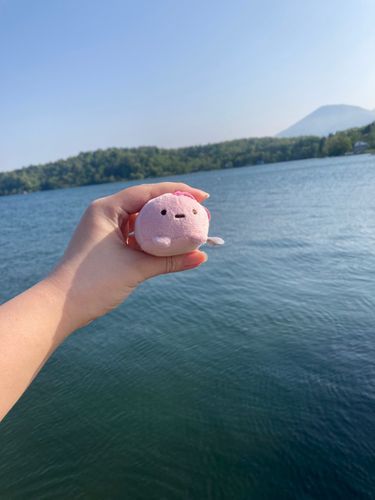 湖にも行ったよ☆