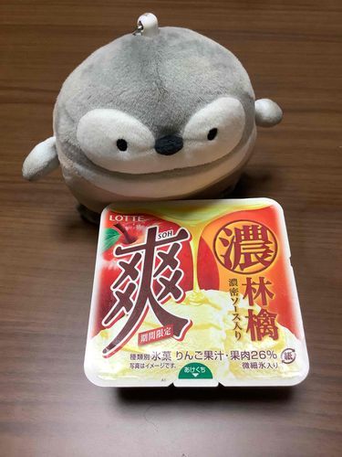 ペンタもアイス🍨食べたいよ☺️