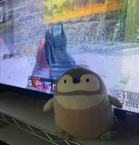 あるじ🙂ゲーム🎮しないでペンタくんと遊んでよ。