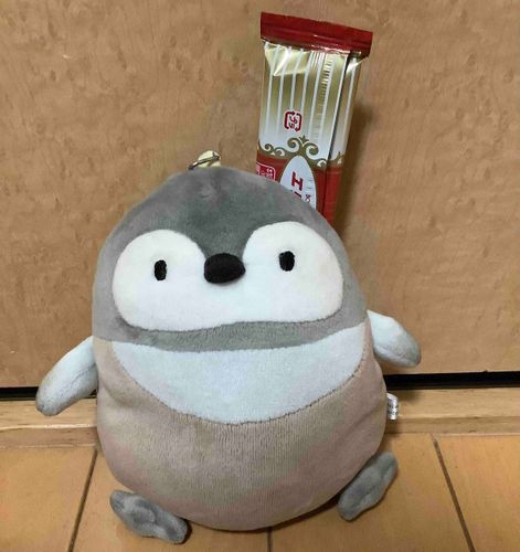 あるじから🥮おやつ🍪をゲットしたよ♪