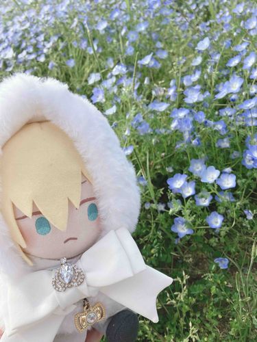 ねもふぃらだ。わめいはるりからくさ、というらしい。