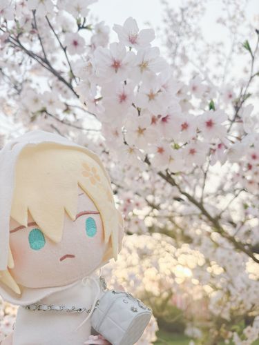まんかいだ