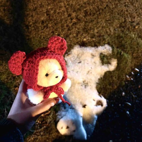 ゆきがすこし のこっていたよ