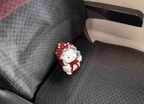 かいぬしの おともだちと たびにでます
きょうのために おかあさんが いちごのぼうしを ふぉーふぉに つくってくれたよ！
いつも ありがとう