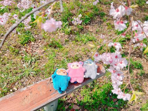お花見🌸寝転がって下から見る桜もキレイだね！