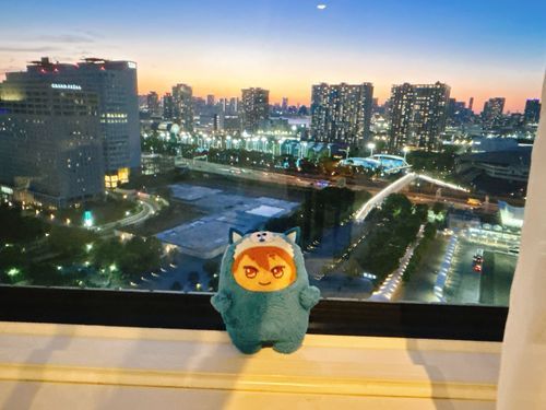 夜景がキレイなホテルに泊まったんだ〜✨