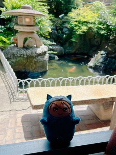 錦鯉がいたよ！大きいしキレイだね！暑くないのかなぁ？