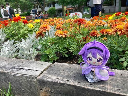 あめが　ふりそうだったので
かっぱを　きてきたの
