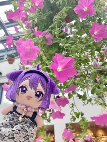 むらさきで　ほしがたの　おはな！
