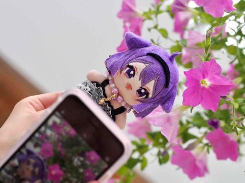 いいしゃしん　だと　おもうわ