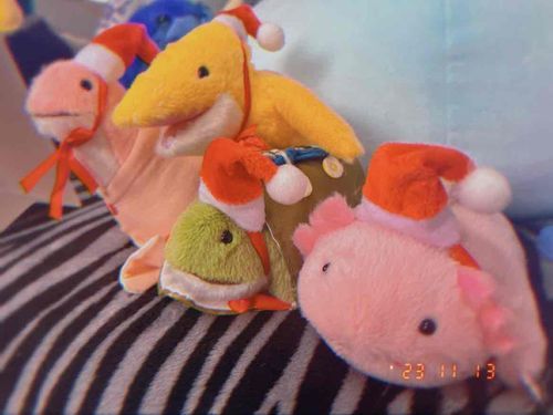 気づいたらクリスマス仕様に🎅