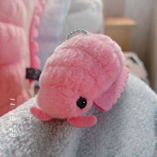 アイコンにしたちっちゃいだんごむし