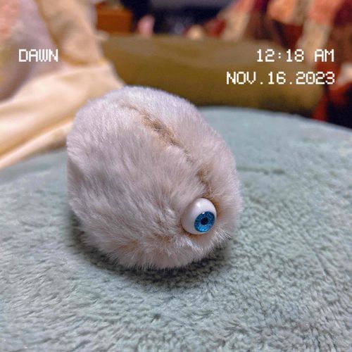 ほわほわひとつめちゃん
欲しい子がなかなか見つからないから自給自足