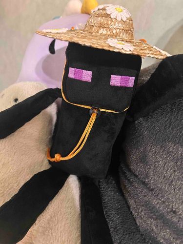 エンダーも買ってもらった👒