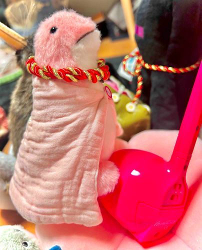 ふみっ
