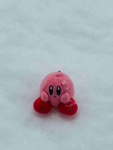 雪の思い出その2