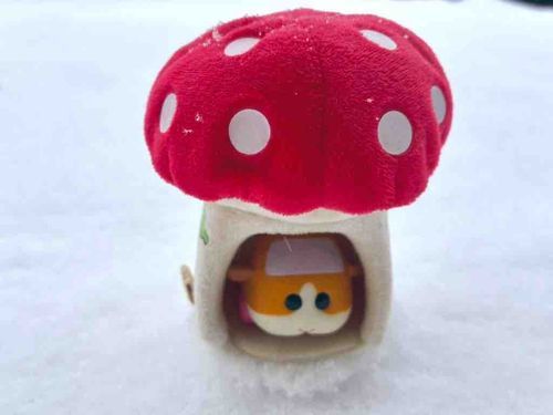 今日は暖かいねー！雪の思い出
