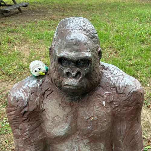 ゴリラさん🦍と✨