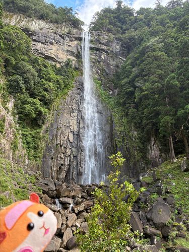 大迫力！！！
那智の滝✨