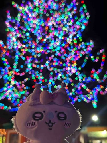 ｷﾞﾗｯｷﾞﾗｯ✨