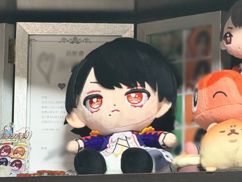 定位置が決まりましたね
今日から人間の生活を見守ってもらいます