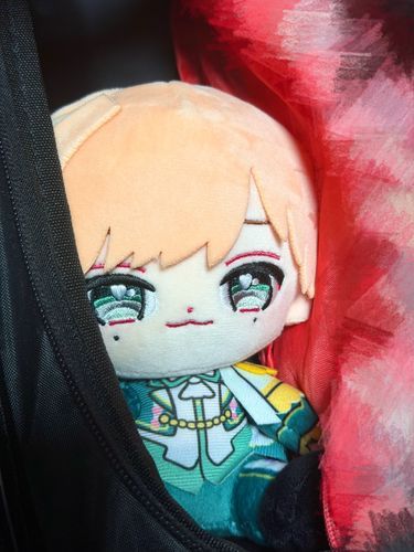旅行に向けて荷造り中です
手持ち鞄の大きさの問題で、りょぬいくんにはキャリーでお昼寝してもらいます
ごめんね…ホテルに着いたら、出してあげるからね……