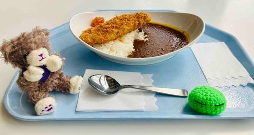 ( - -)<はるに すいぞくかんに いったとき たべた マグロのカツカレーの しゃしん
「マグロをみて、マグロをたべたんだよね…」