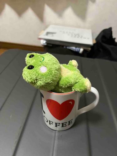 若返ってフサフサなKatに会えるのが楽しみ　ドイツメンバー一同