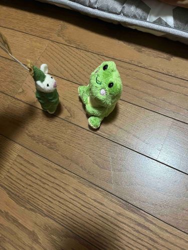 クリスマス関連出身のねずみとも再会