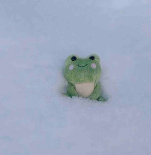 はじめての雪