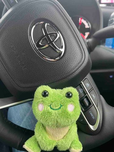 運転はまだ俺には早いかなー。。。